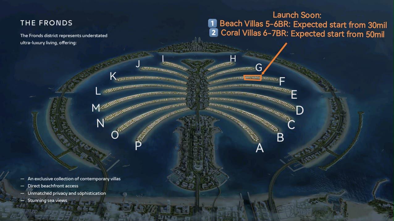 Beach Collection — Frond F, Palm Jebel Ali 4